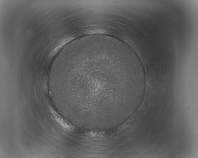 X0000078020345200610271239