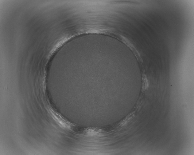 X0000078020346200610271239