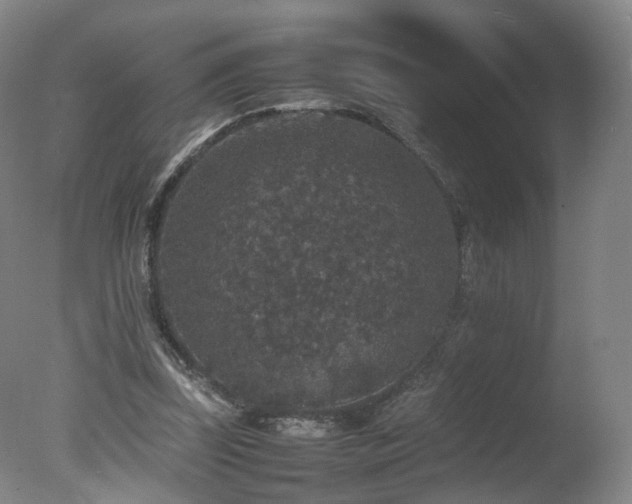 X0000078020347200610271239