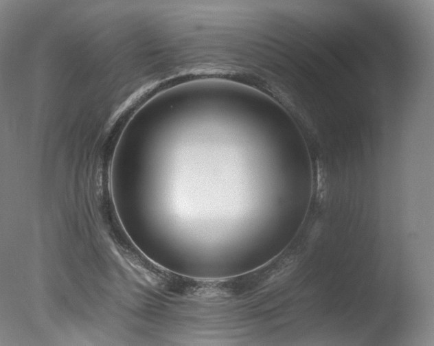 X0000078020348200610271239