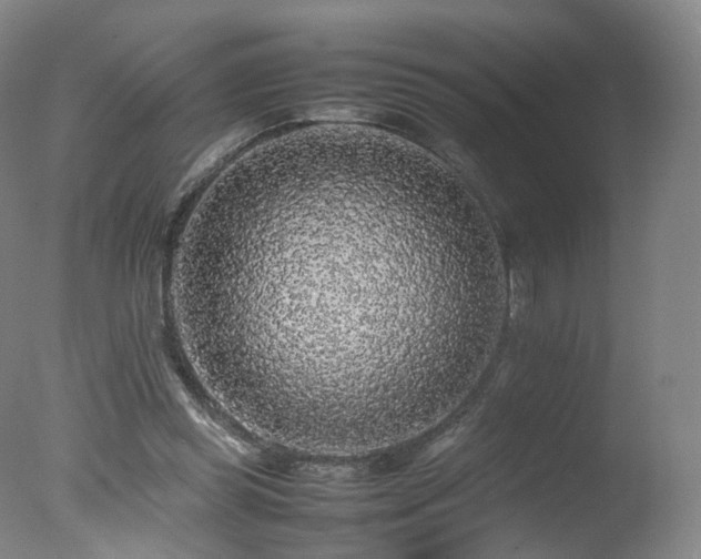 X0000078020349200610271240