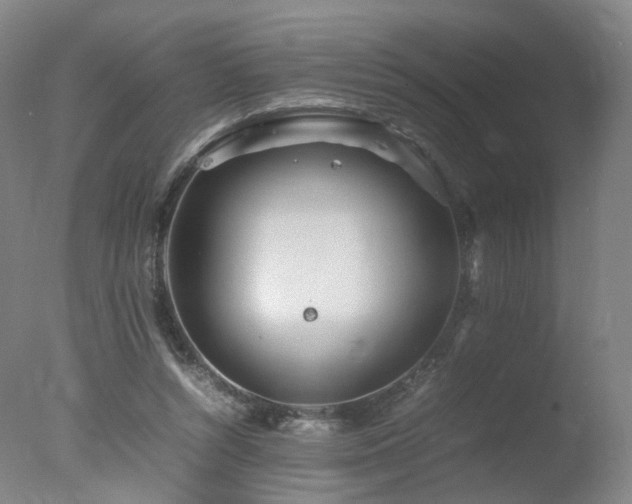 X0000078020352200610271240