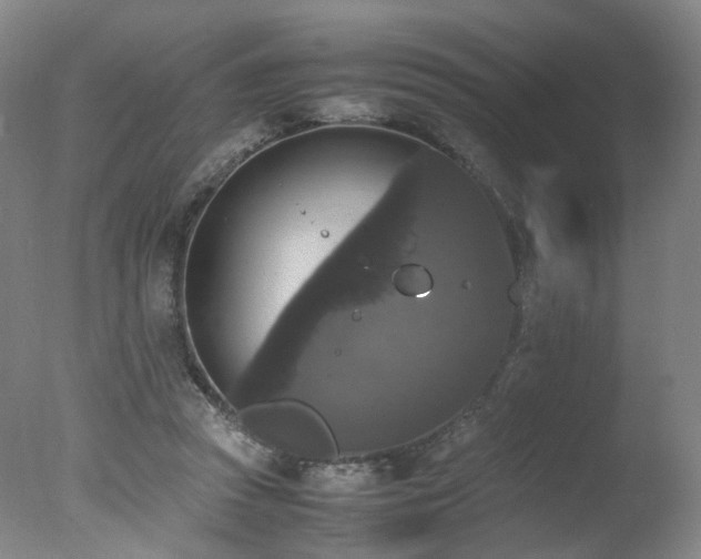 X0000078020353200610271240