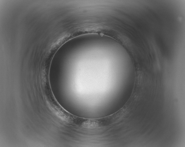 X0000078020354200610271240