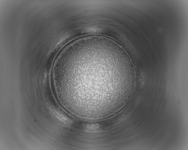 X0000078020355200610271240