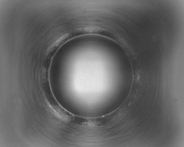 X0000078020356200610271240