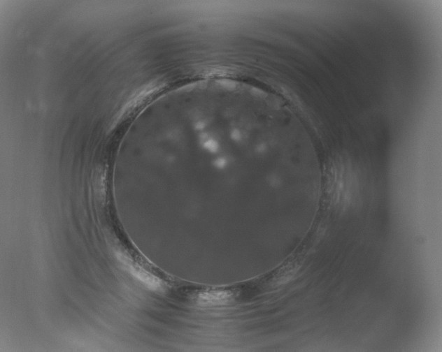 X0000078020357200610271240