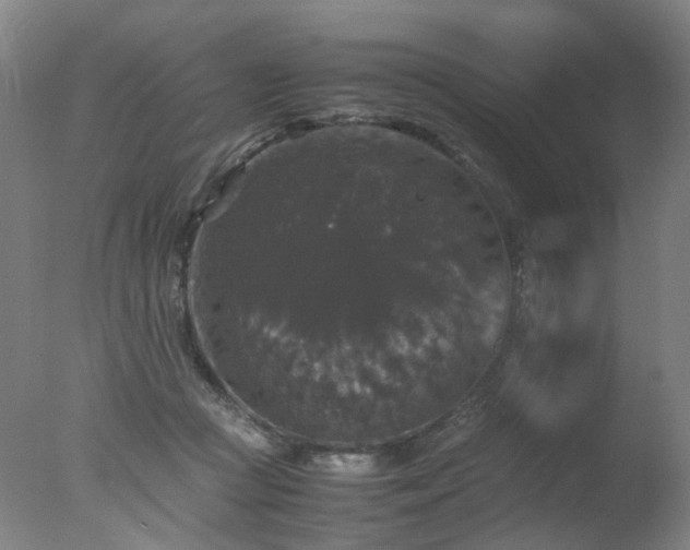 X0000078020361200610271240