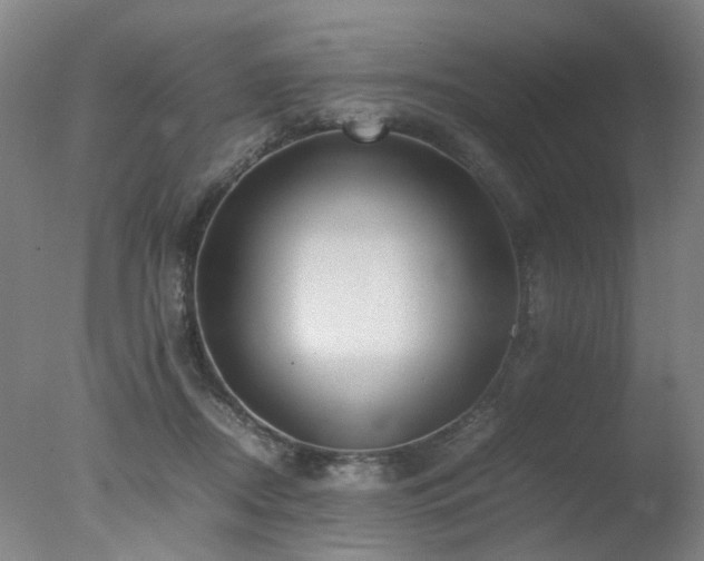 X0000078020362200610271240