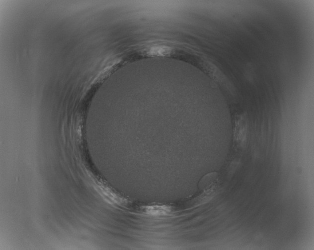 X0000078020363200610271240