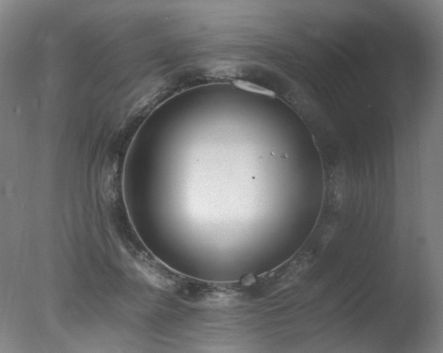 X0000078020364200610271240