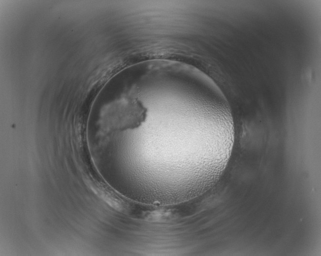 X0000078020366200610271240