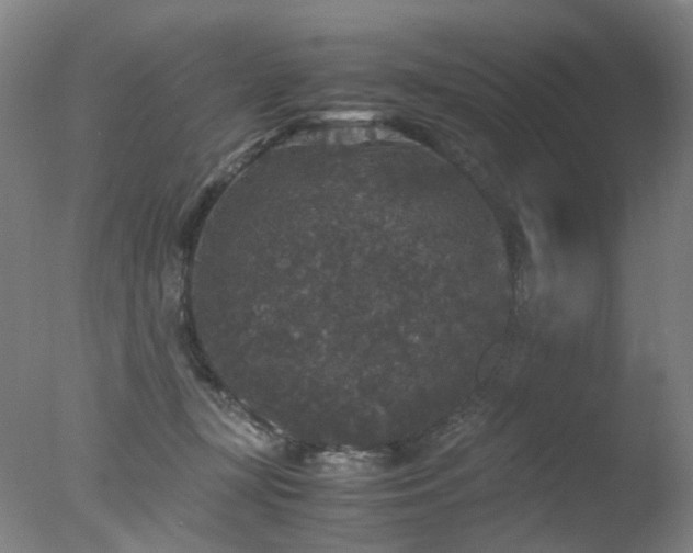 X0000078020367200610271240