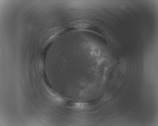 X0000078020371200610271240