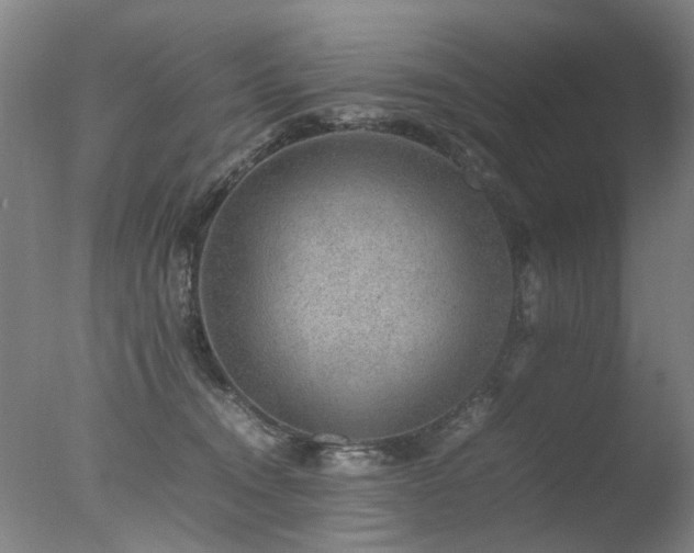 X0000078020372200610271240