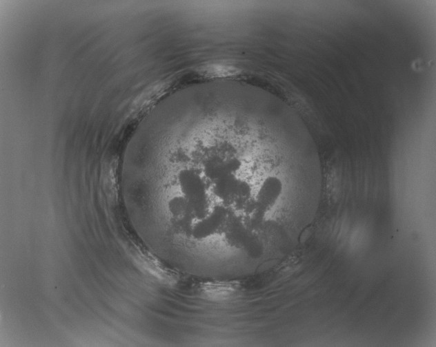 X0000078020373200610271240