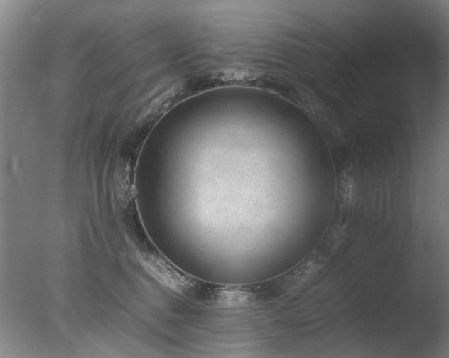 X0000078020376200610271240