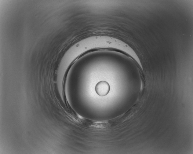 X0000078020381200610271240