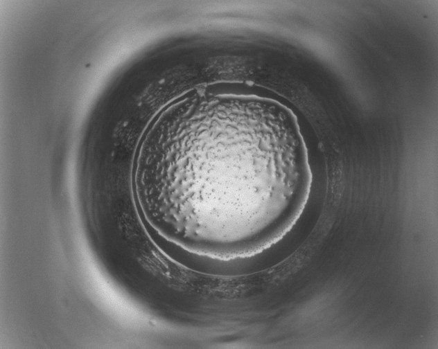 X0000078020383200610271240