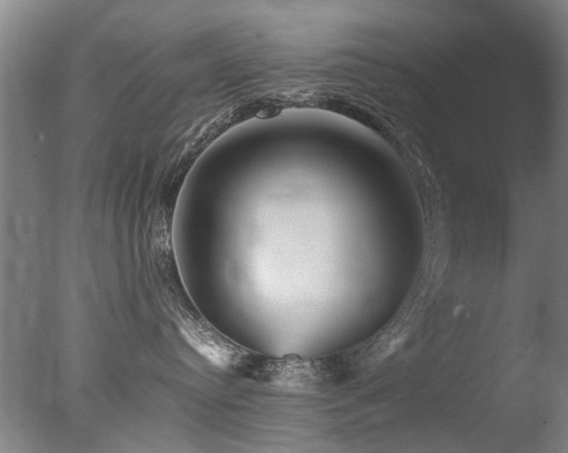 X0000078020384200610271240