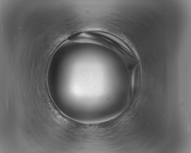 X0000078020385200610271239