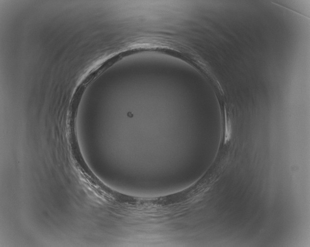 X0000078020387200610271239