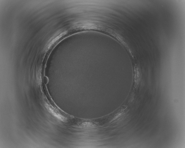 X0000078020390200610271239