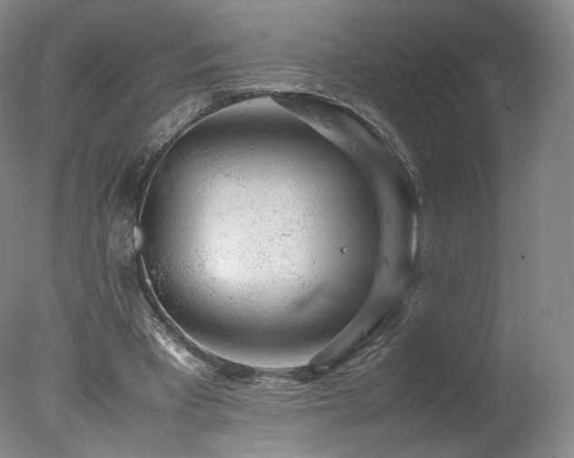 X0000078020393200610271239