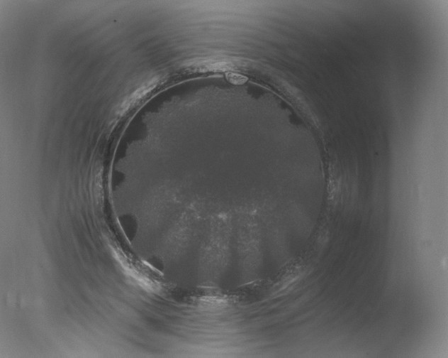 X0000078020394200610271239