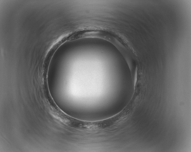 X0000078020395200610271239