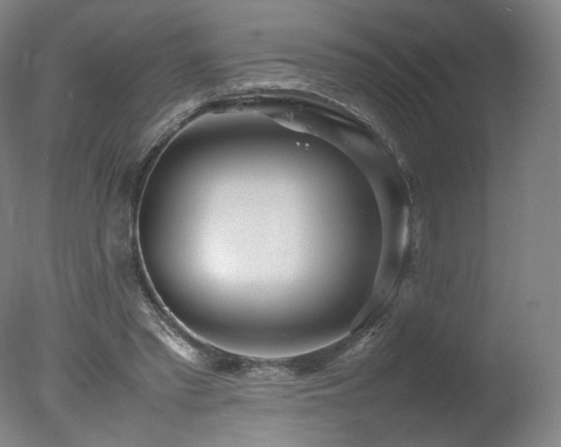 X0000078020397200610271239