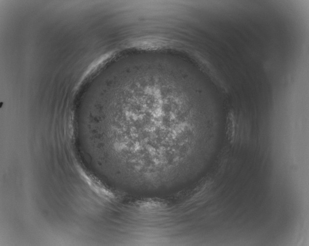 X0000078020400200610271239