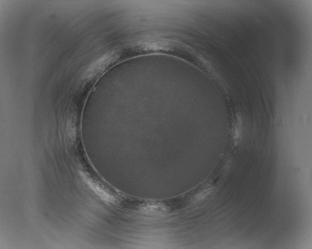 X0000078020402200610271239