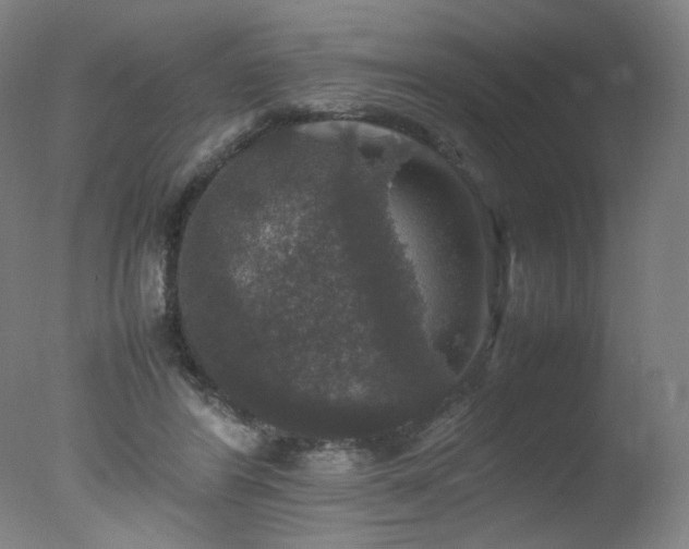 X0000078020404200610271239