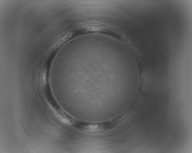 X0000078020406200610271239