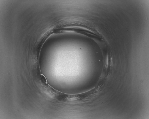 X0000078020407200610271239