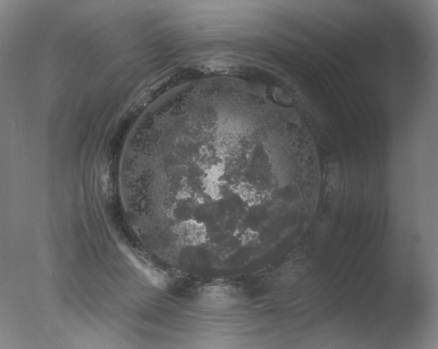 X0000078020408200610271239