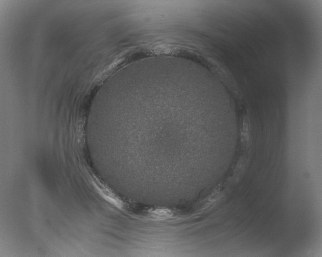 X0000078020409200610271239