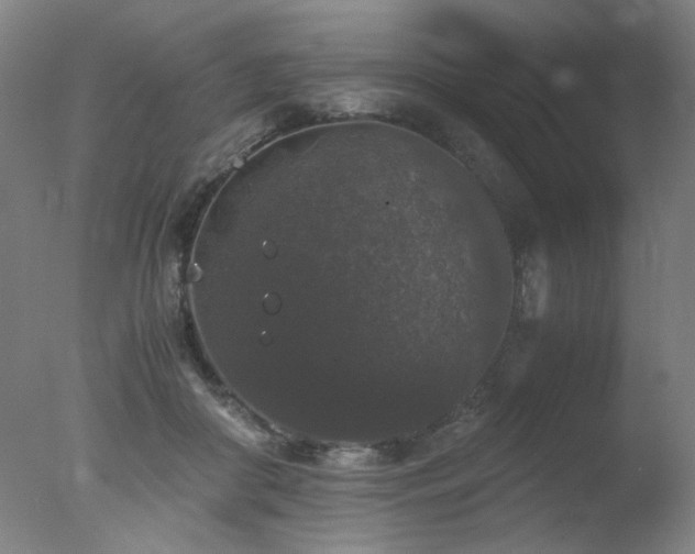 X0000078020410200610271239