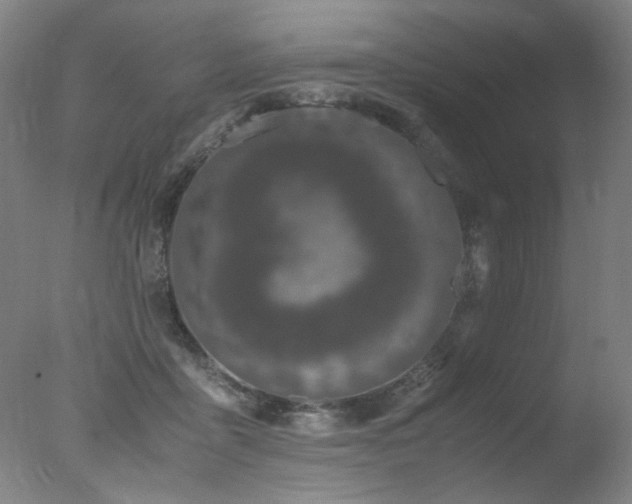 X0000078020411200610271239