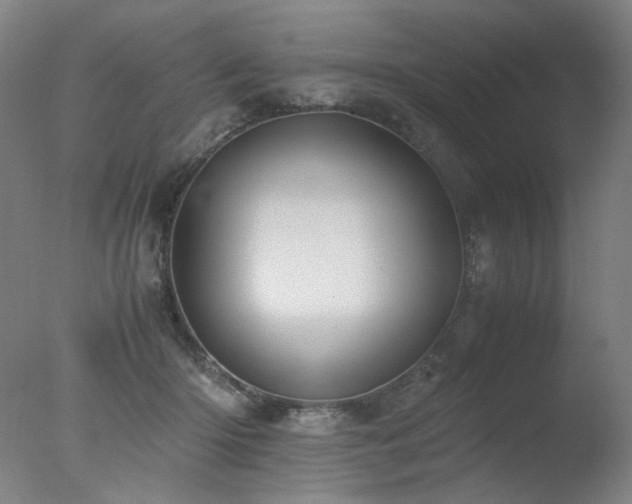 X0000078020414200610271239