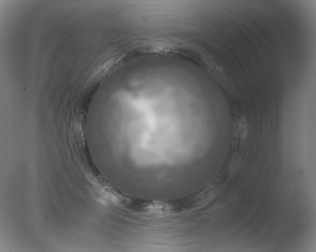 X0000078020415200610271239