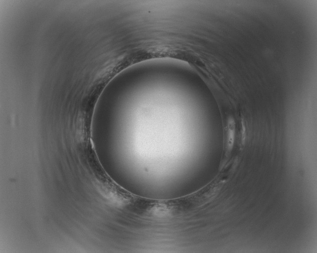 X0000078020416200610271239