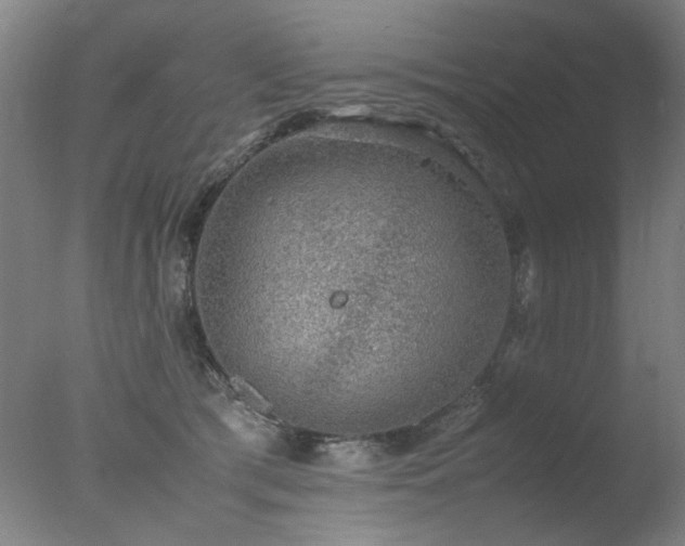 X0000078020417200610271239