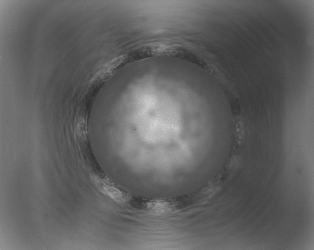 X0000078020419200610271239