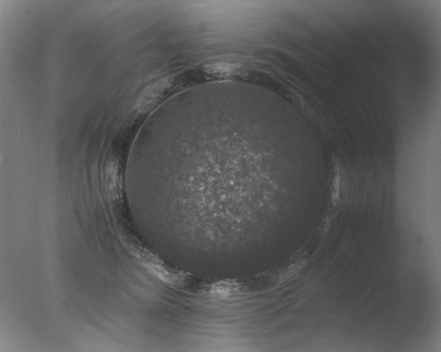 X0000078020420200610271239