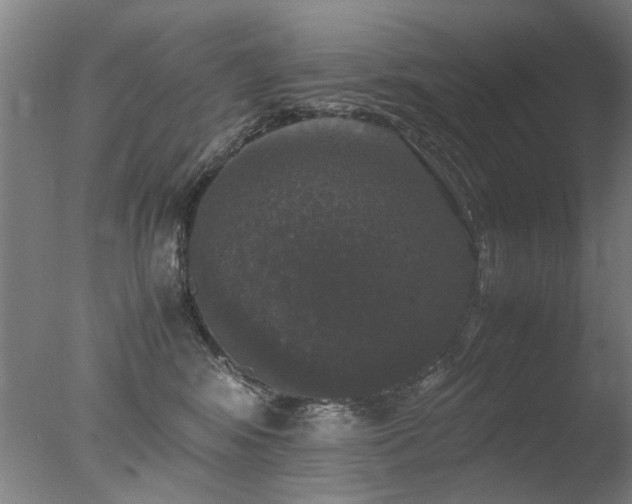 X0000078020424200610271239