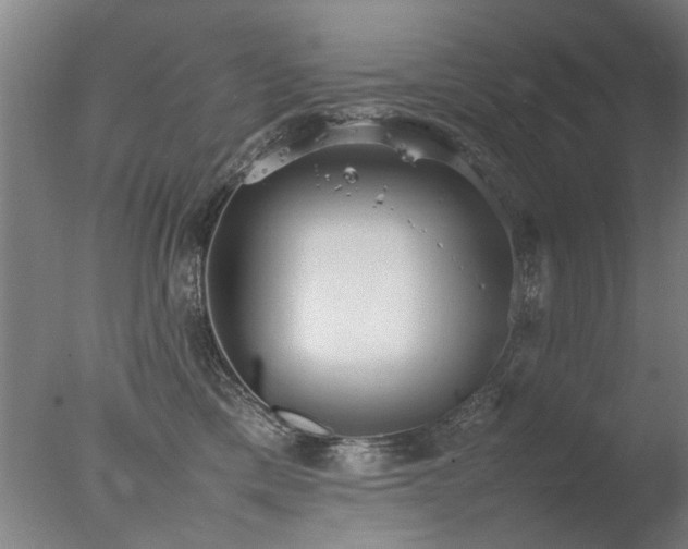 X0000078020425200610271239