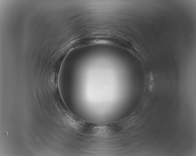 X0000078020428200610271239