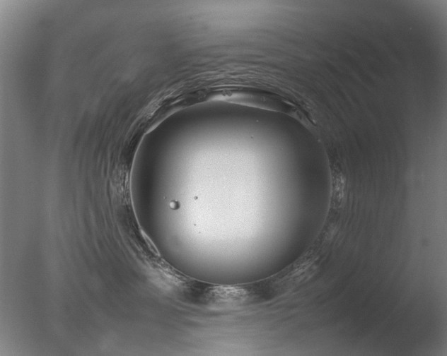 X0000078020429200610271239